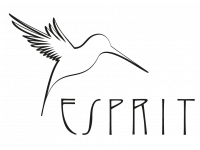 logo de la société Esprit cable audio